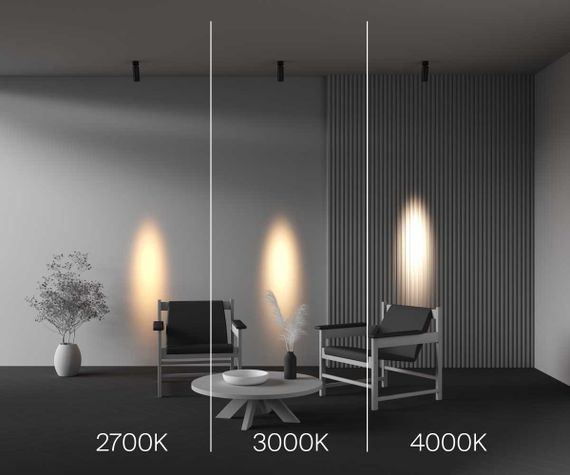 Потолочный светильник Maytoni Technical C055CL-L12W3K-SS-B