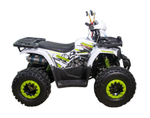 Квадроцикл Avantis Hunter 8 NEW Lux 2024 (А1)