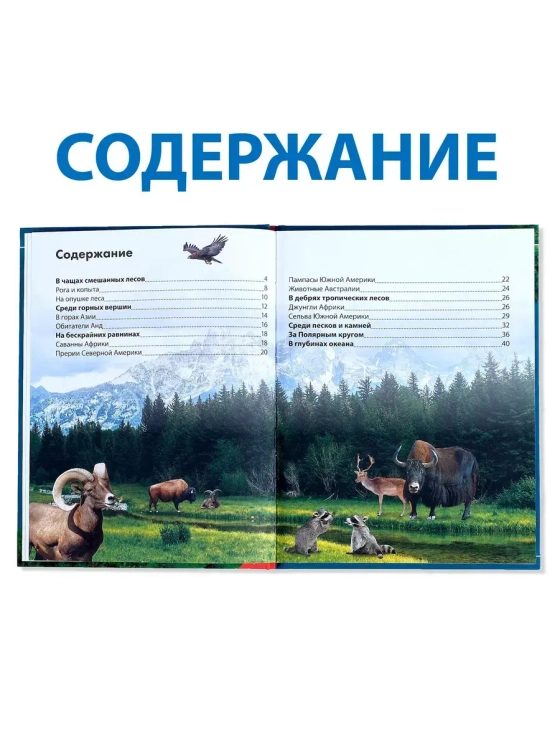 Детская энциклопедия Энциклопедия Животных