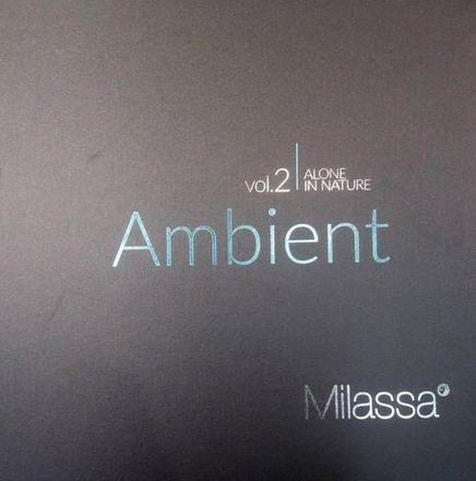 Ambient vol. II