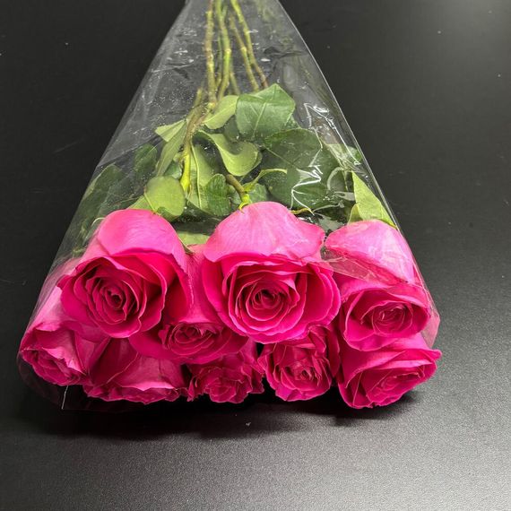 розы Pink Floyd Tecca