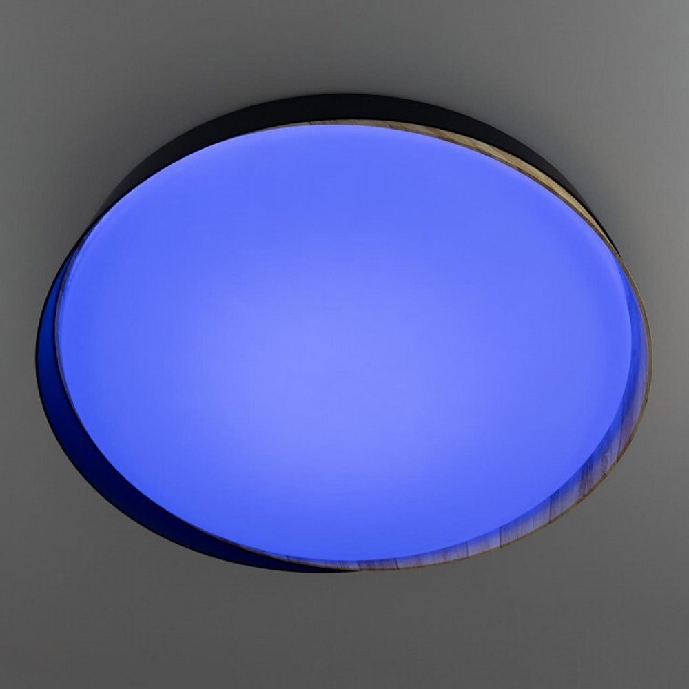 Накладной светильник Citilux BONNY CL754451G