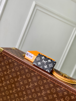 Louis Vuitton Pocket Organizer
