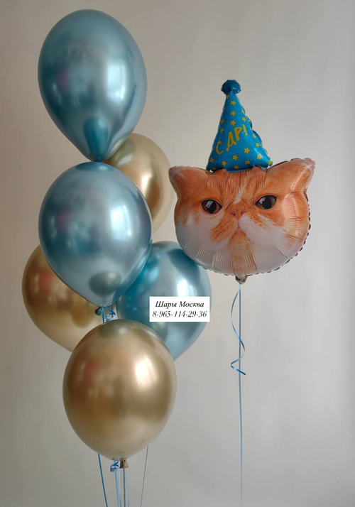 Кот с воздушными шарами