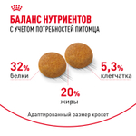 Royal Canin Siberian Adult Сибирская Эдалт Корм сухой для взрослых кошек сибирской породы от 1 года и старше 400г