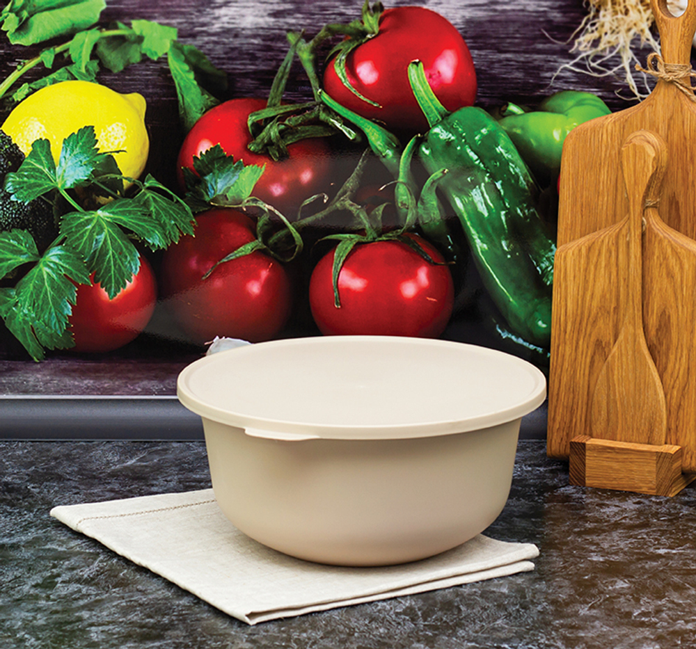 Миска ТЭСТИ 4,3л с крышкой