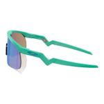 Oakley Kid Resistor Очки