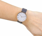 Женские наручные часы Skagen SKW2674