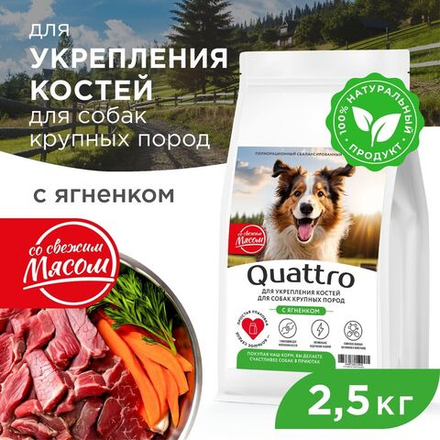 Корм сухой для взрослых собак крупных пород, премиум полнорационный комплекс, укрепление костей, с ягненком, 2,5 кг, QUATTRO
