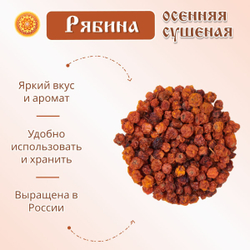 Рябина красная. Алтайская "Осенняя" ягода сушеная