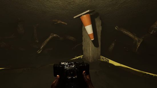 MADiSON Possessed Edition (Б/У) [PS4, русские субтитры]