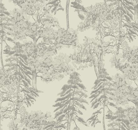 Ambient vol4 Лесной этюд