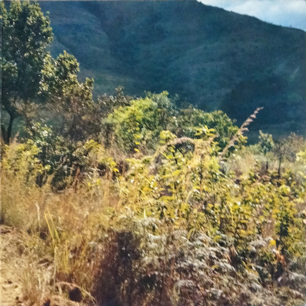 Eric Clapton / Journeyman (LP)