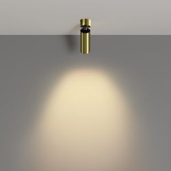 Спот светодиодный Maytoni   C055CL-L12W2.7K-W-BS