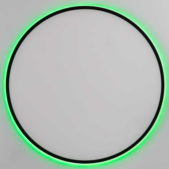 Потолочный светильник Citilux NORMA CL749601