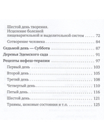 Нефеш-терапия. Библейская система исцеления