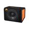 Сабвуфер DL Audio Piranha 15A Black V2 активный