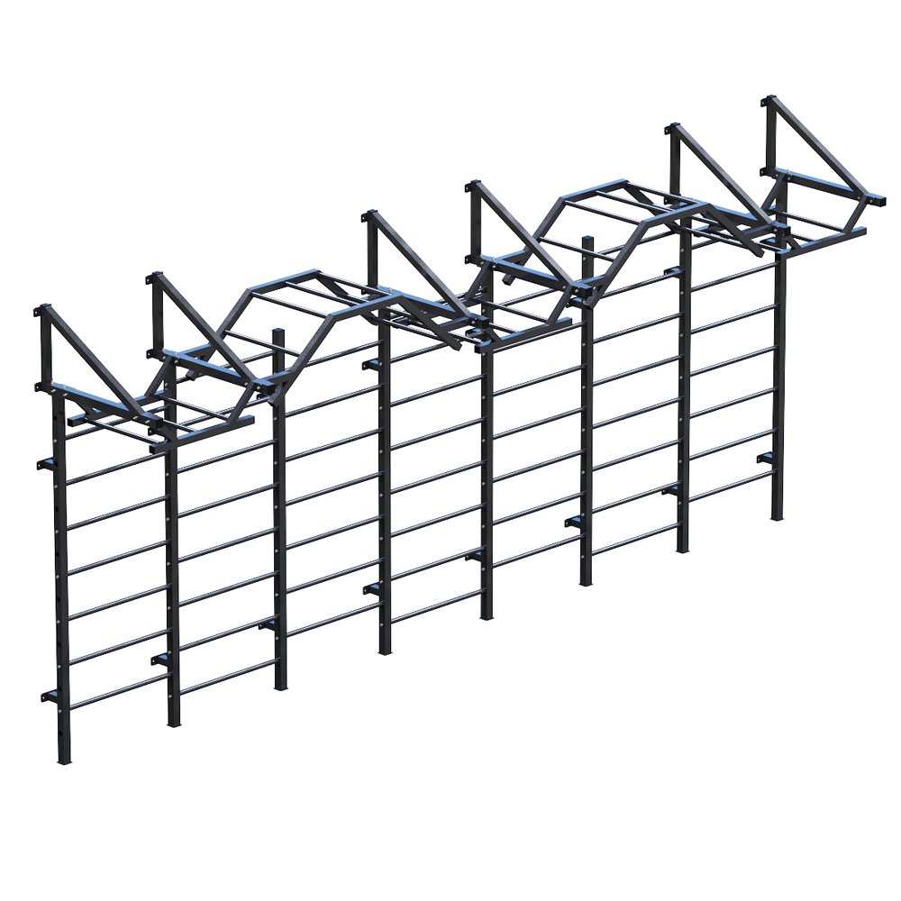 Стенка гимнастическая рукоход