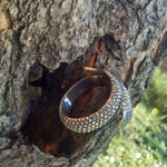 Кольцо ЗМЕЙ, серебро