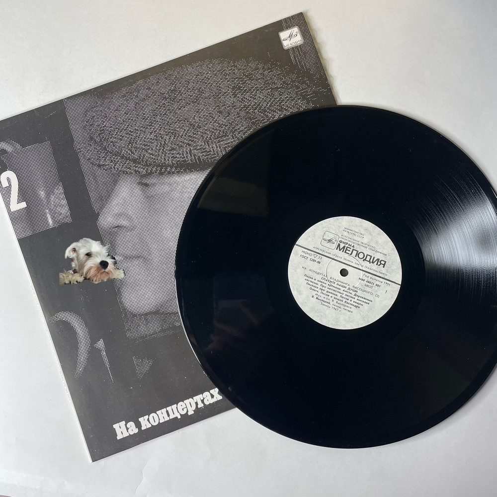 Винтажная виниловая пластинка LP Владимир Высоцкий Спасите Наши Души (СССР 1988) На Концертах Владимира Высоцкого Пластинка 2