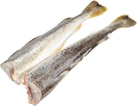 Навага б/г с/м 17+ фасовка IQF 1/13кг