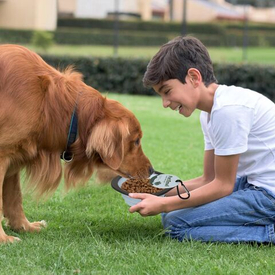 🚫 Опасные продукты для питомцев или что категорически нельзя давать собакам и кошкам