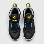 Кроссовки Nike Giannis Immortality 2 Black / White