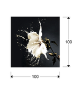 Печатная фотография Splash 100x100