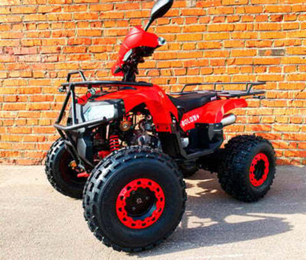 Квадроцикл MOWGLI BOLD 8+