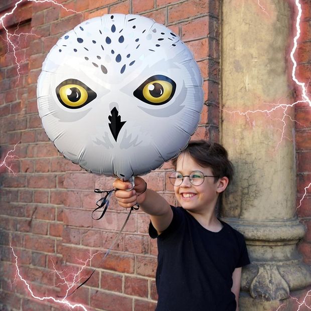 Шар круг 18" / 46 см "Сова полярная" (Веселая затея) (БГ-15)