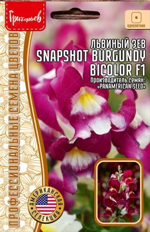 Львиный зев Snapshot Burgundy Bicolor