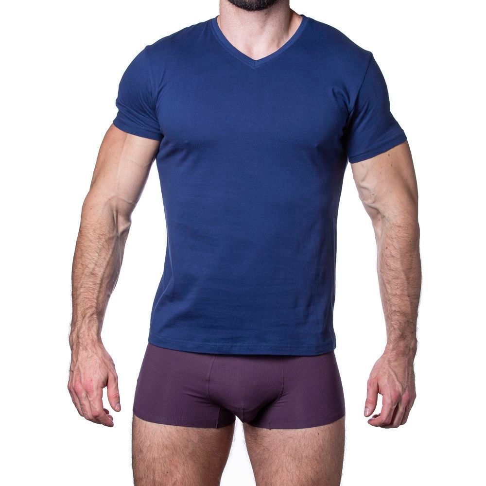 Мужская футболка синяя Sergio Dallini SDT751-4