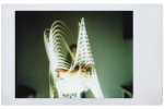 Фотоаппарат моментальной печати Lomography LOMO'Instant Automat Schiele + 3 объектива