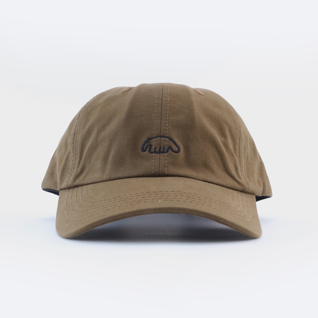 Кепка Anteater 6Panel (brown)