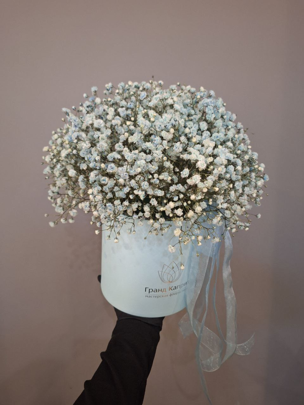 Композиция из голубой гипсофилы Композиция из голубой гипсофилы