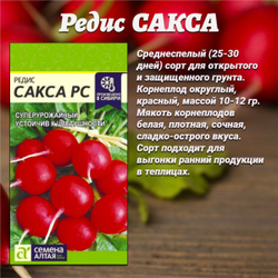 Набор семян редиса: лучшие сорта для урожая в вашем саду. Семена Алтая