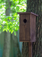 Скворечник-бар деревянный, выдвижная шотница со стопками