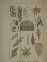 "Основание ботаники и физиологии растений. В 2-х частях". Сочинение А.Ришара. 1837г.