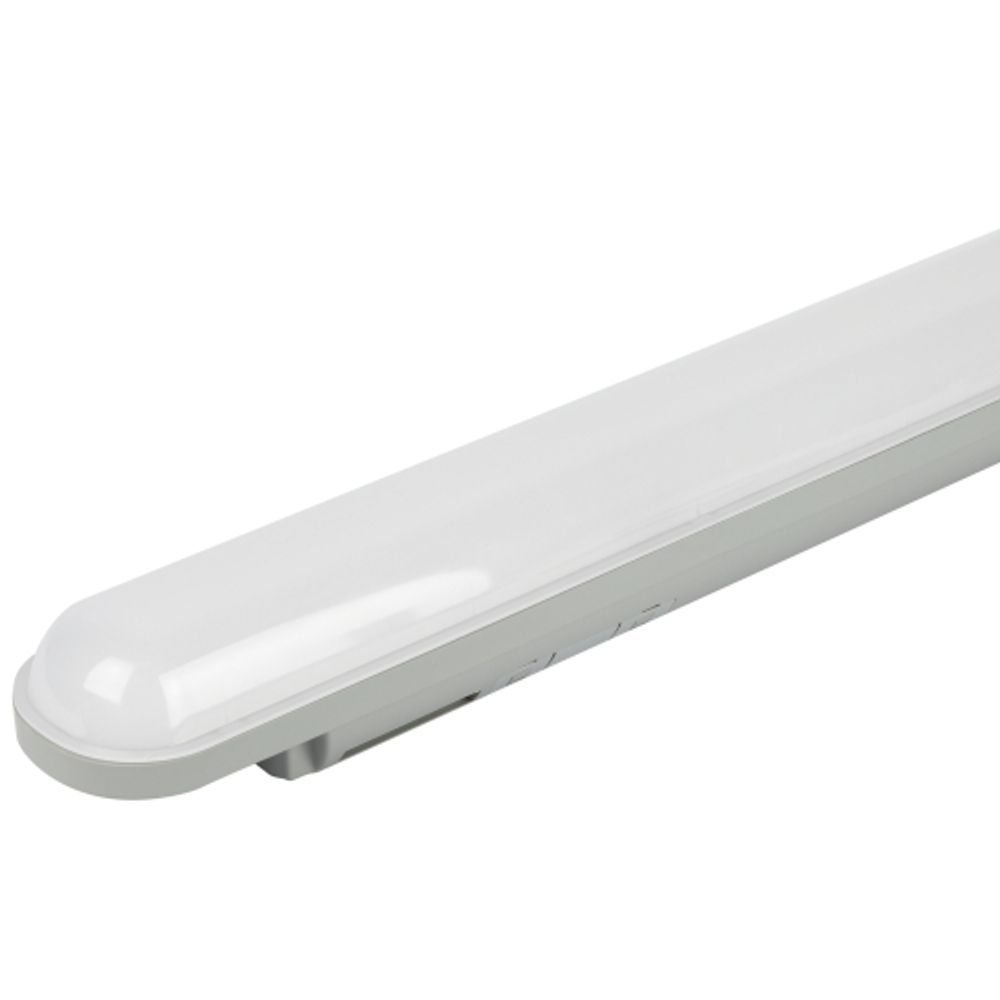 Линейный светодиодный светильник ЭРА SPP-202-0-40K-L36 36Вт 4000К 4860лм IP65 1200мм матовый