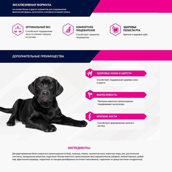 Сухой корм Eukanuba Dog Labrador Retriever для взрослых собак породы лабрадор ретривер от года