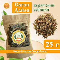 Саган-Дайля.