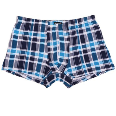 Мужские хлопковые трусы-боксеры в клетку (Размер: M) (Цвет: синий с голубым)