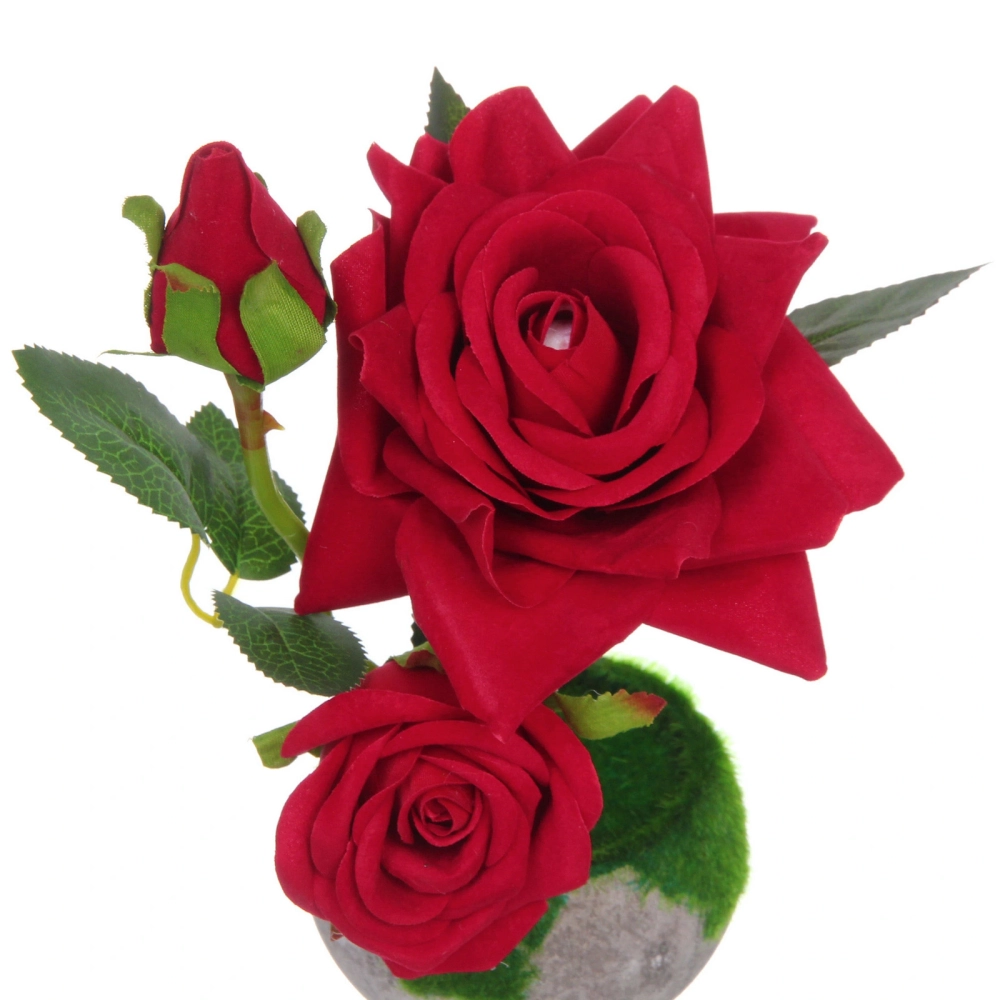 Цветочная композиция «Розовый восторг» 22см в горшке, цвет красный