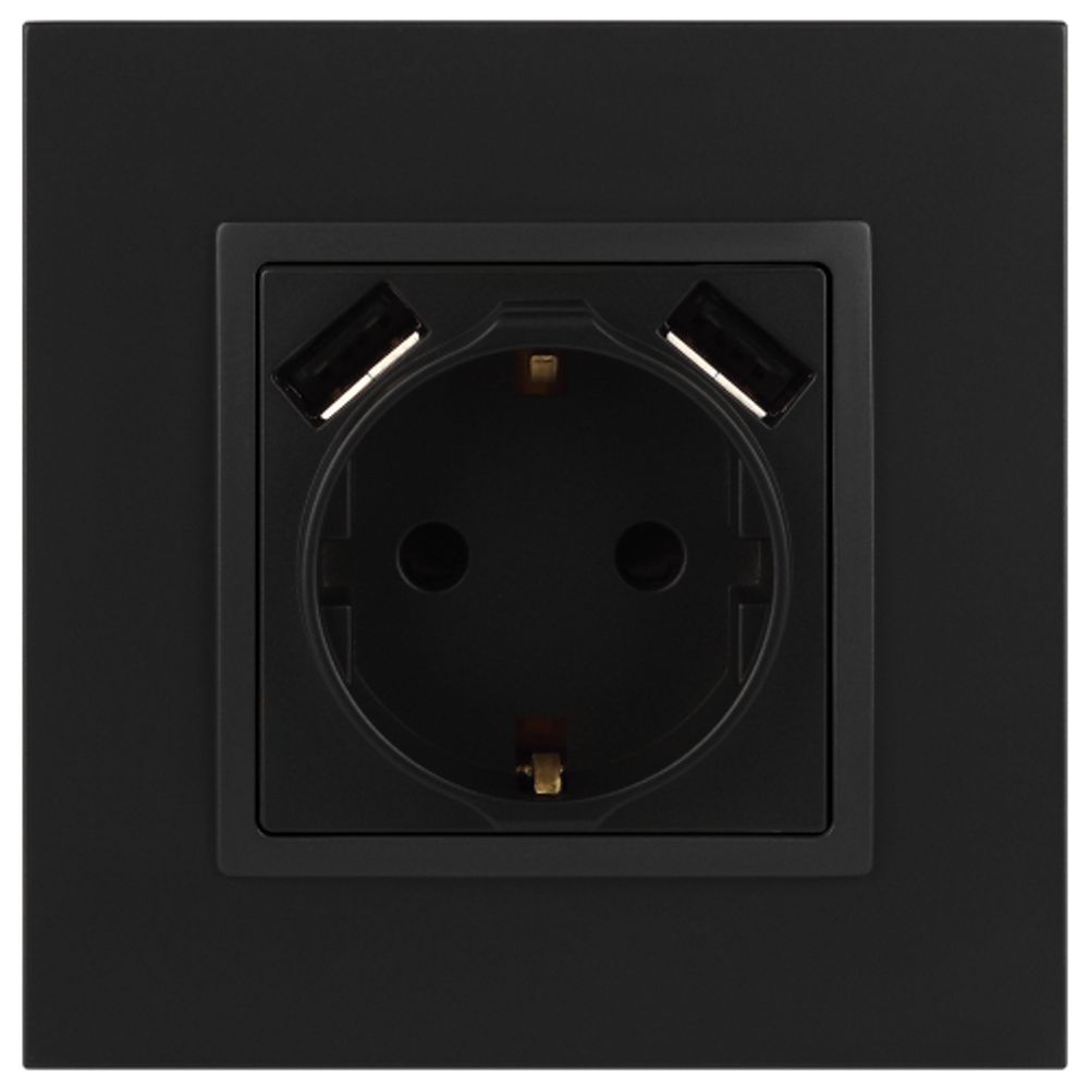 Розетка ЭРА Elegance 14-4109-05 2P+E 16A-250В штор. с 2xUSB 5В-3А антрацит | Эра Elegance