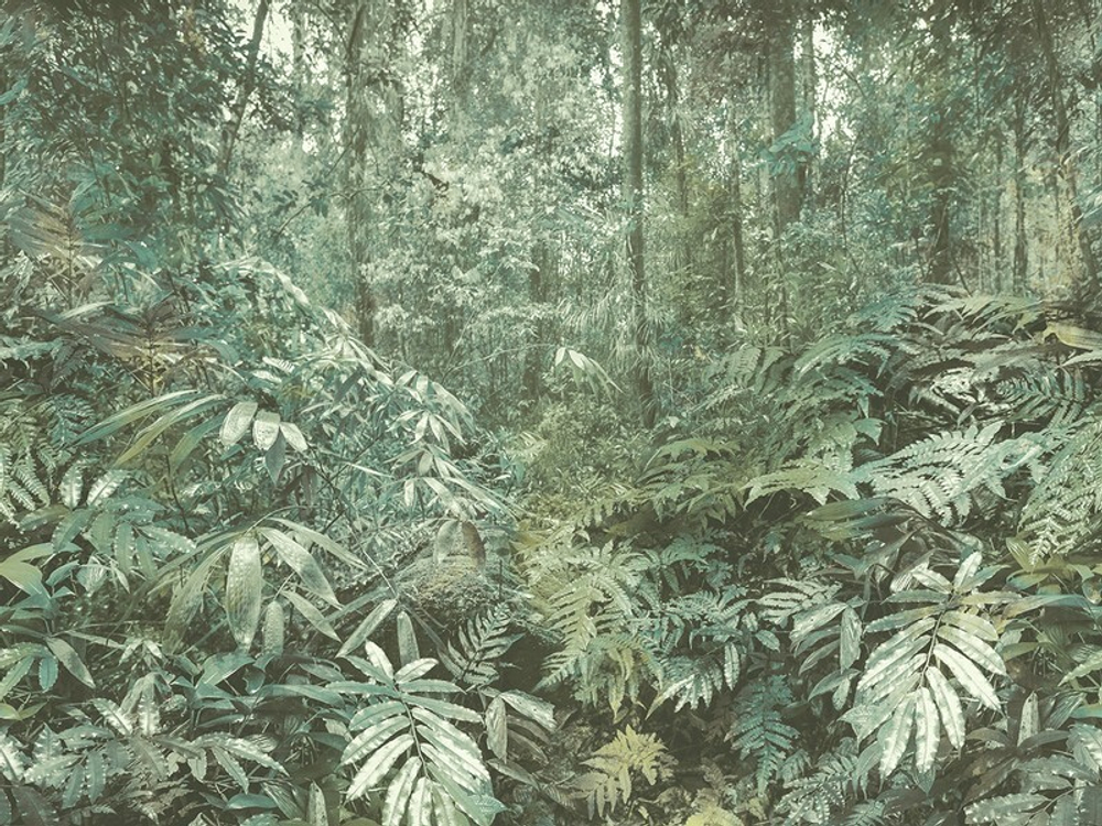 Обои виниловые на флизелине Carl Robinson Edition 15 арт. 78100MA CR