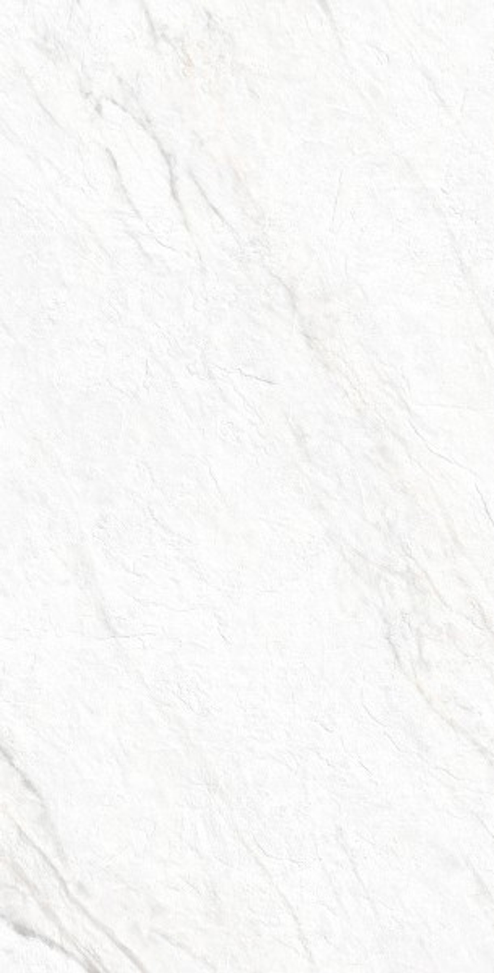 LAZIO BIANCO GI8009-B