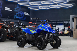 Квадроцикл TIGER 150 Universal RX