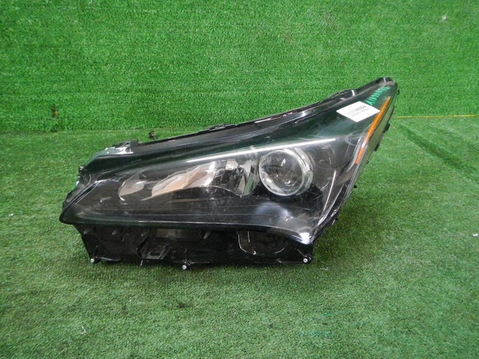 DSCN7879.JPG