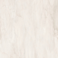 Lira beige PG 01 450х450 (1-й сорт)