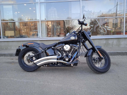 Softail Slim (FLS)  Harley-Davidson 2016